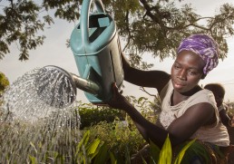 empowered rural woman watering her crops with a watering can